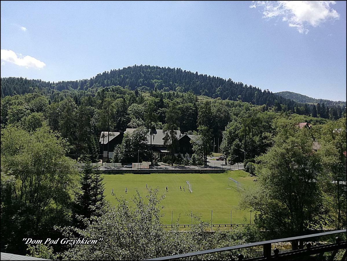 "Dom Pod Grzybkiem" Apartment Kroscienko nad Dunajcem ภายนอก รูปภาพ